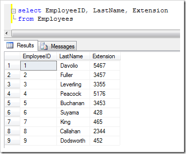 The list of employees stored in the 'Northwind' sample database table 'Employees'
