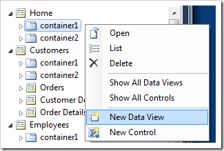 Adding a new data view to a page container