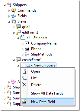 New Data Field in 'createForm1'