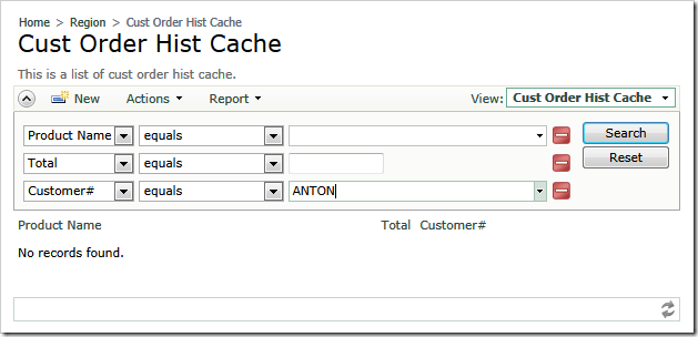 Entering a user-defined filter value in Automatic Search Bar of a web app created with Code on Time application generator