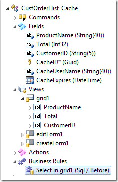 A business rule node selected in Project Explorer
