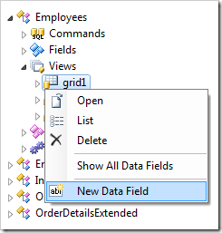 New Data Field in grid1 view of Employees controller.