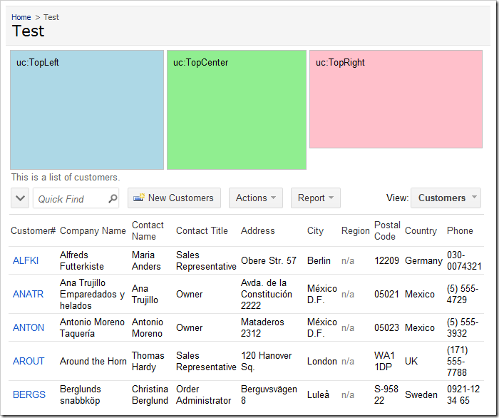 Test page with customized 'Top' user controls and customer list at the bottom of the page.