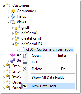 New Data Field in Customer Information category.