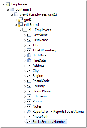 SocialSecurityNumber data field in editForm1 view on the Employees page.