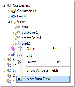 New Data Field in 'grid2' view of Customers controller.