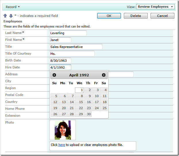 Virtualization node sets allow easy assignment of custom input editors to the specific data controller fields at runtime.