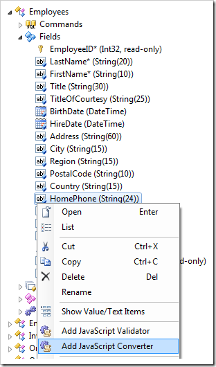 Add JavaScript Converter context menu option for HomePhone field in the Project Explorer.