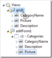 Dropping data field Picture onto view grid1.