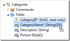 CategoryID field dropped on CategoryName field in the Project Explorer.