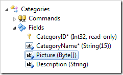 Picture field node placed after Description in the Project Explorer.