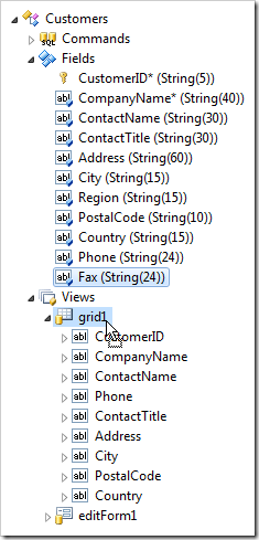 Dropping Fax field node onto 'grid1' view node will create a data field.