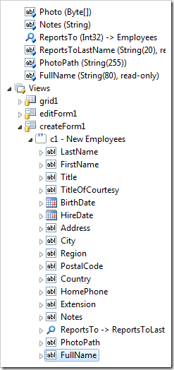 FullName data field created in 'createForm1' view.