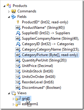 Dropping 'CategoryPicture' field node onto view 'grid1'.