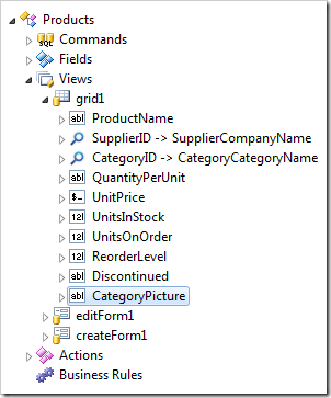 Data field for 'CategoryPicture' instantiated in view 'grid1'.