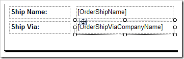 Two fields on the left side of the report footer.