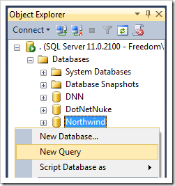 Creating a new query for Northwind database.