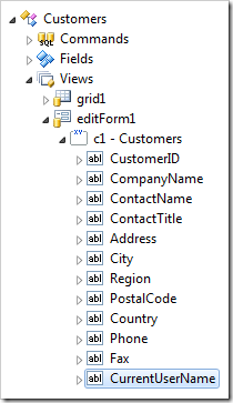 Data field 'CurrentUserName' instantiated in view 'editForm1'.