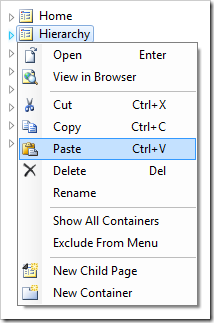 Pasting onto Hierarchy page.