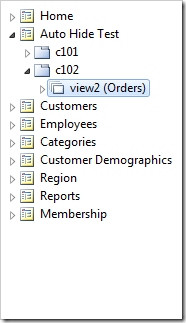 Two data views instantiated from the pasted data controllers.