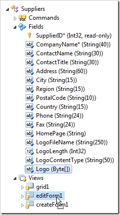 Adding a data field of Logo to view 'editForm1'.