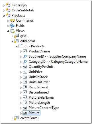 'Picture' data field created in 'editForm1' view.