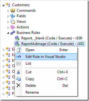 Opening the business rule file in Visual Studio.