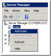 Adding Roles to the server.