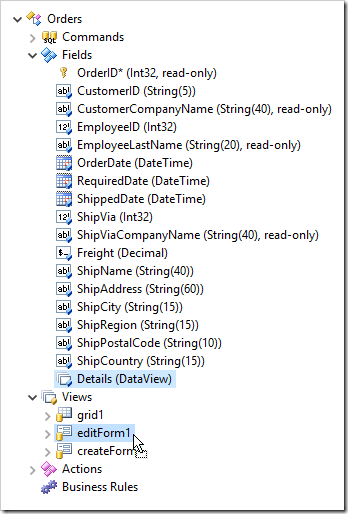 Dropping Details field onto 'editForm1' view of Orders controller.