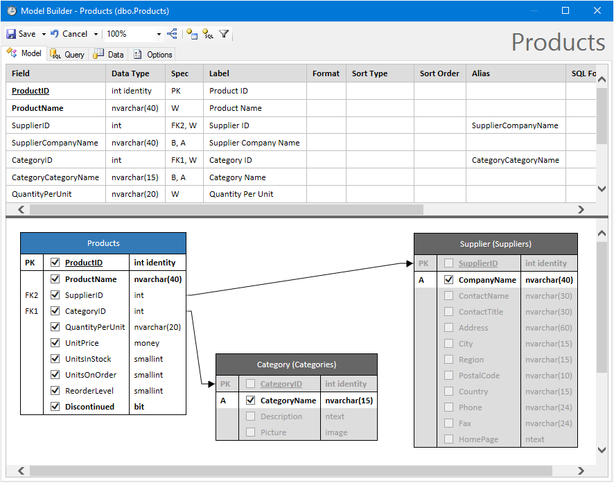 Building a data model for a database entity.